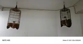Kandang brnjnagan besar kecil