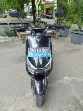 Volta Virgo Mulus 2024