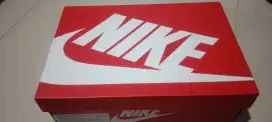 Nike dunk SE phantom
