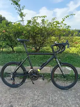 Minivelo Tern Cresh Full upgrade