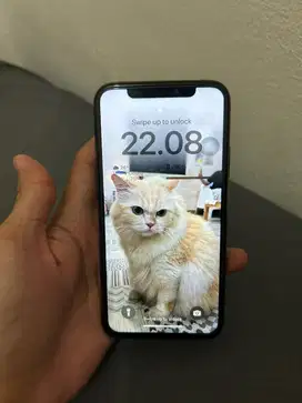 IP - IPHONE XS 256GB INTER