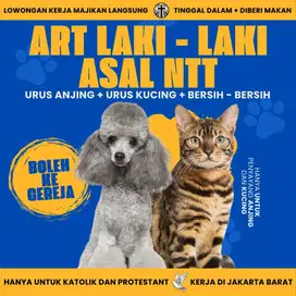 ART LAKI - LAKI ASAL NTT