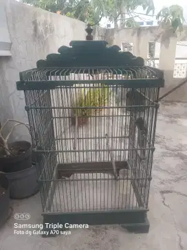 Sangkar kotak bekas