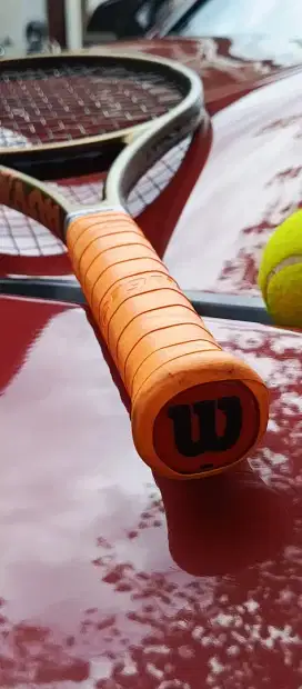 Wilson Pro staff X v14 100/315