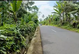 Dijual tanah kosong Jln raya Baturaden Timur dekat curug CehengSumbang