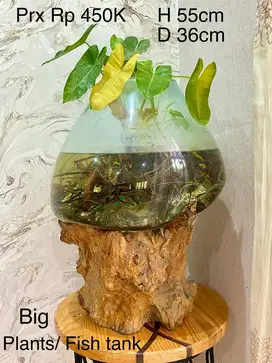 Dijual Dekorasi Kaca tiup & akar pohon asli Bali