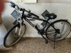 Sepeda Polygon Lelaki