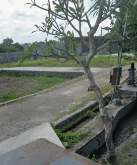BUC Canggu Pererenan luas 2 are