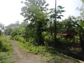 Jual tanah subur dan rata