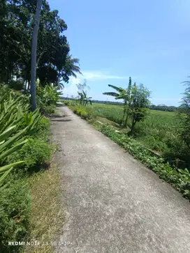 Tanah Pekarangan View Sawah dekat YIA