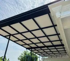 Canopy alderon dll