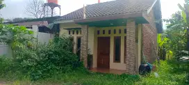 Rumah disewakan dekat kampus unika pawiyatan luhur