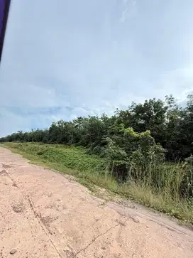 DIJUAL KEBUN KARET +-15 HEKTAR 300rb/m  (KEBUN KARET) LOKASI STRATEGIS