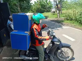 Mesin penetas telur otomatis