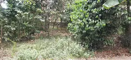 TURUN HARGA TANAH DEKAT CITRAGRAN CIBUBUR NEGO SAMPAI DEAL