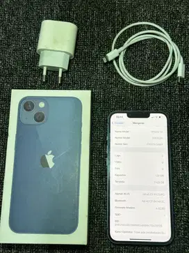 iPhone 13 128GB Regist Bea Cukai - Kondisi Bagus & Normal