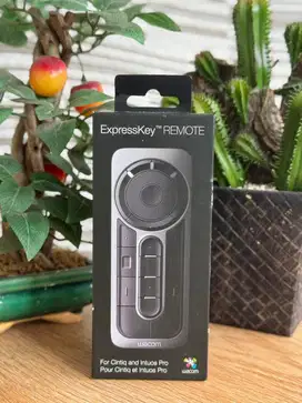 ExpressKey Remote Drawing Tablet WACOM