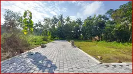 Tanah Kulon Progo Dekat Kampus UNY Wates 100 Jt-an