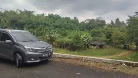 Tanah Ciampea Murah Dekat SMK Pelita, Promo 850 Ribu/m2