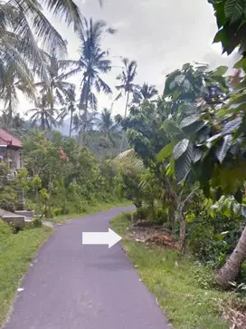 Tanah Kebun Pohsanten Medoyo Jembrana