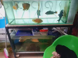 Aqurium full set