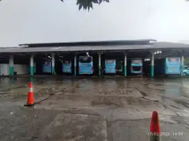 Driver bus pariwisata dan antar jemput karyawan