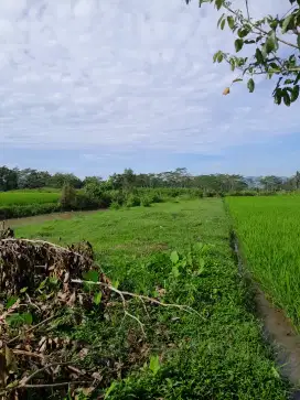 Tanah Strategis di Magelang