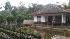 Hanya 2M Saja !! Di Jual Tanah 1.4 hektar beserta bangunan rumah