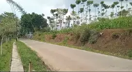 Tanah darat zona kuning,  Arjasari kab.bandung