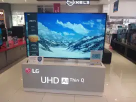 LEF TV SMART 70 INC