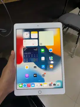 ipad gen 8 wifi only