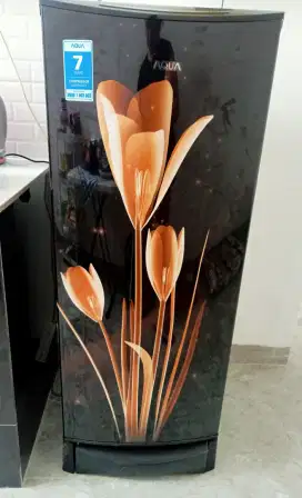 Kulkas Aqua 1 pintu