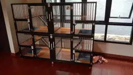 kandang kucing 4 kamar