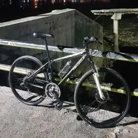 Wimcycle Roadchamp 26