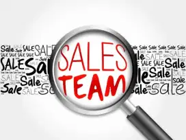 Lowongan Kerja Sales Toko Online & Offline