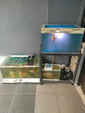 Jual Aquarium Borongan