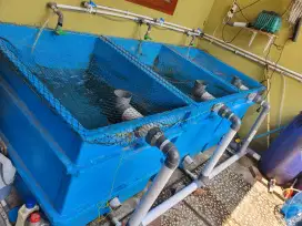 DIJUAL PERALATAN BUDI DAYA IKAN SYSTIM RAS