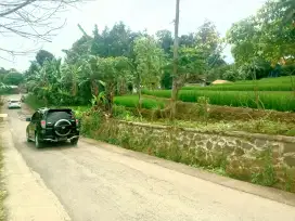 JUAL LAHAN SAWAH DI MEKARJAYA BANJARAN
