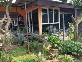 Rumah Murah, Luas Buat Kos-Kosan Taman Cimanggu Bogor