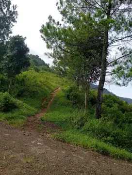 Tanah untuk Perumahan, Peternakan, Sarana Pendidikan dan Perkebunan