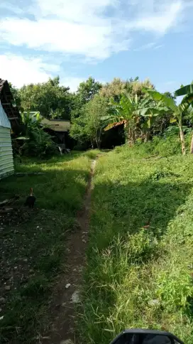 DIJUAL TANAH SHM DAERAH MANCILAN, MOJOAGUNG
