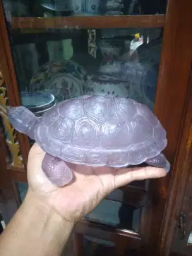 Sepasang cristal kura-kura