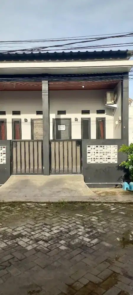 Dikontrakan rumah petakan