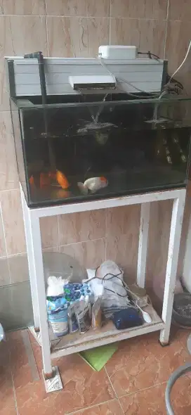Jual cpt aquarium fullset bonus ikan mas koki 2 ekor nego smpe cck