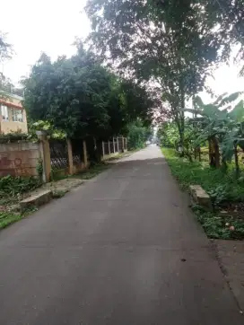 Tanah disewakan