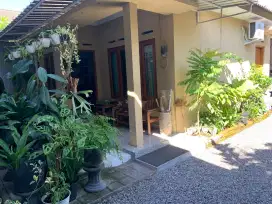 Rumah Tinggal, Ruang Usaha, Paviliun, Kamar Kost