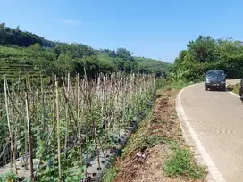 Tanah kebun view bagus, sumber air subur pasigaran tanjungsari