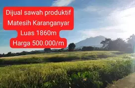 Dijual sawah produktif Matesih Karanganyar