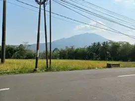 Dijual tanah pinggir Jl. Raya Mandalawangi - Pandeglang, 3550 m, SHM