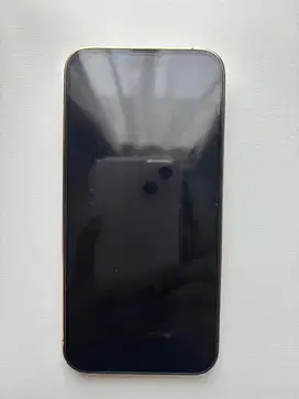 Iphone 13 pro 256Gb